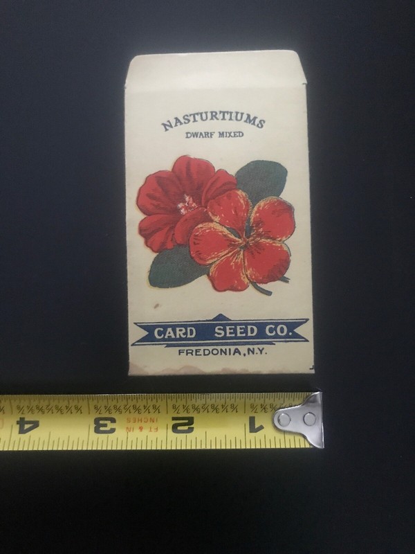 Vintage Antique 1900s CARD SEED CO Nasturtium Seed Pack 2.5 X 4.5” Ex Cond gallery