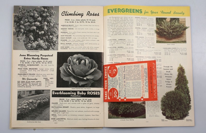 Vintage 1947 Maloney Nursery Fruit and Flower Book Catalog Dansville New York gallery