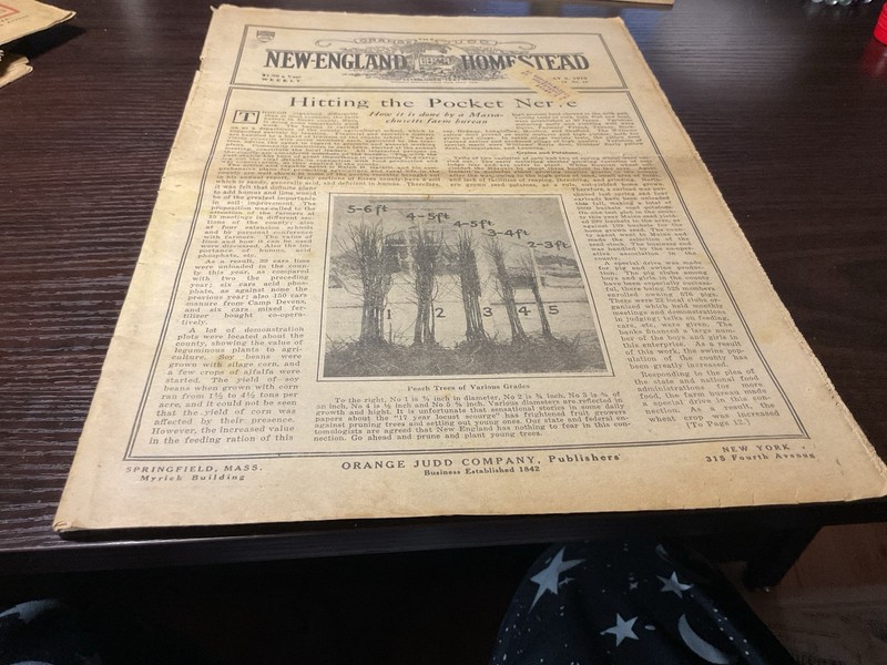 1919 New England Homestead Newspaper Farm Ads, Mass. Farms, Grow Peaches