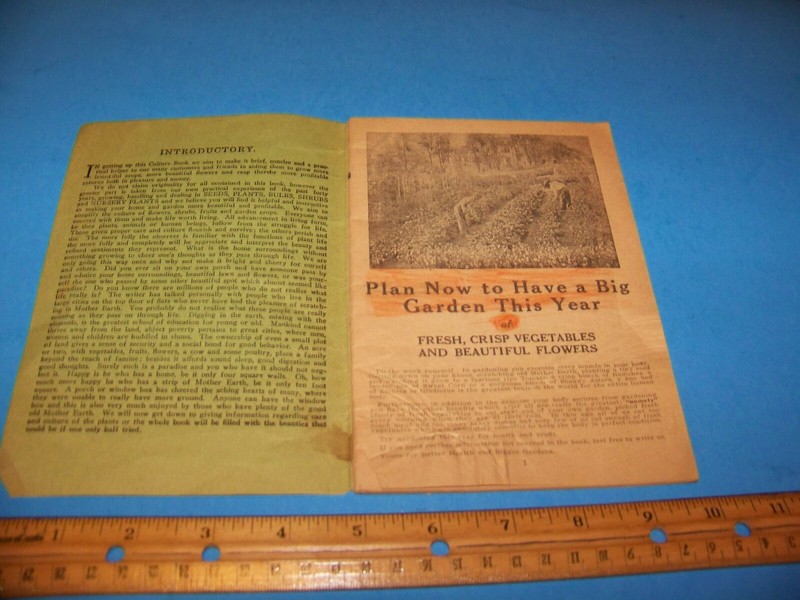 Vintage Seed Company Booklet Rockford, Illinois R.H. Shumway Seedsman gallery