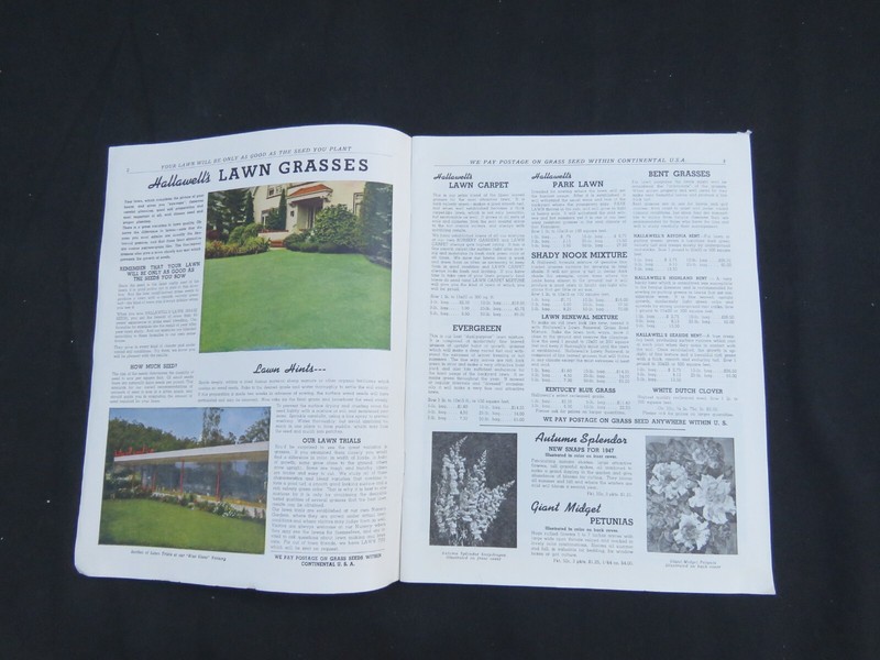 Vintage 1947 HALLAWELL Seed Plant Catalog San Francisco CA Color Scarce gallery