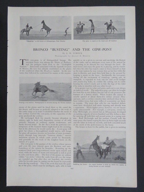 1905 B&W 9x13 Lithograph Bronco Busting and the Cow-Pony Horses Article 2-sided gallery