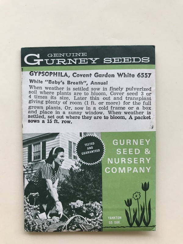 Vintage Genuine Gurney Seeds Packet ~ Gypsophila~ Cute Package~ Dry Seeds!