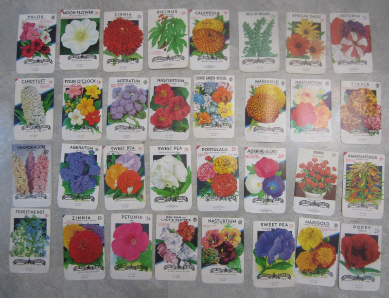 Lot of 32 Old Vintage 1970’s – FLOWER SEED PACKETS – Lone Star – EMPTY