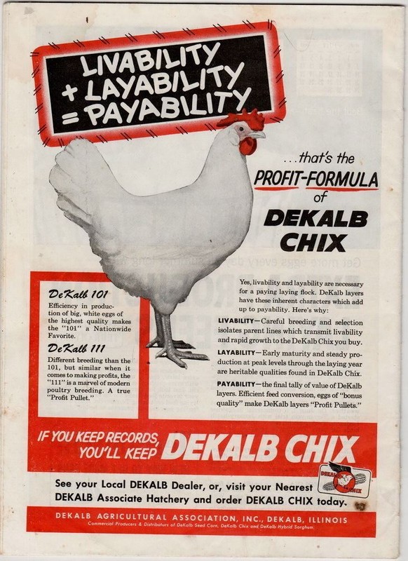 Everybody's Poultry Magazine, July-August 1957, vintage agricultural magazine gallery