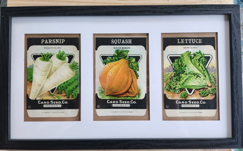 Framed 1920’s-30’s Vintage Seed Packets, Card Seed Co - Fredonia NY gallery