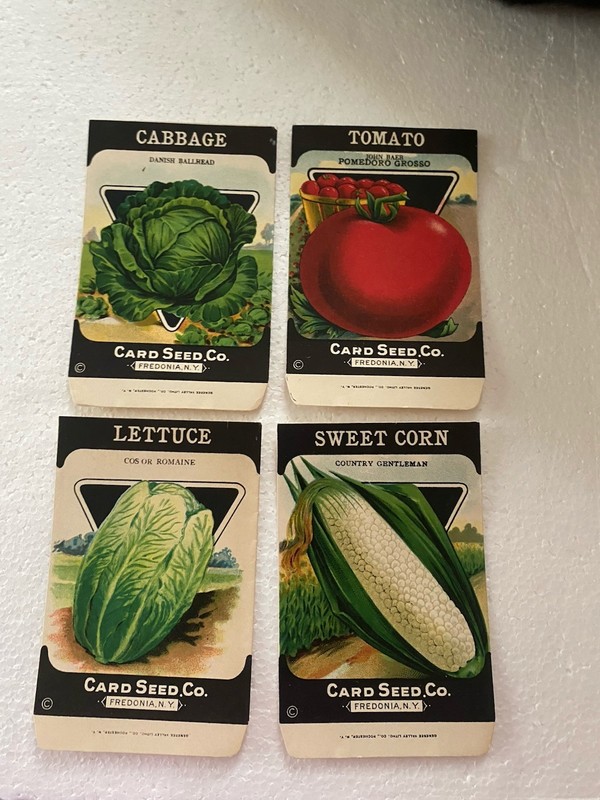 4 – 1920’s Card Seed Co Seed Packet New Old Stock Gênesee Litho #5