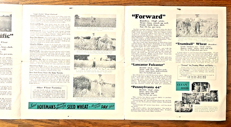 Hoffman Seeds 1934 brochure A H Hoffman Landisville Lancaster Co Pennsylvania gallery