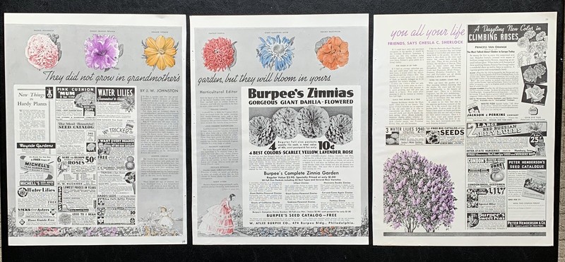 Vintage Burpee’s Ferry’s Gardening Flowers Seed Ephemera Prices Print Ads Read