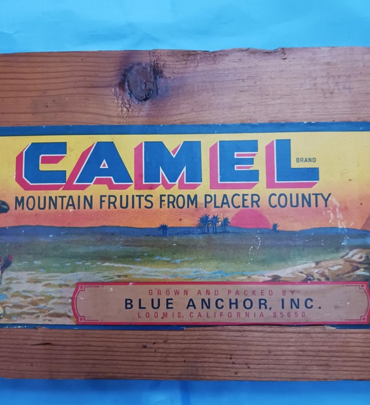 Vintage CAMEL Mountain Fruits Placer County Wood Crate Piece Blue Anchor gallery