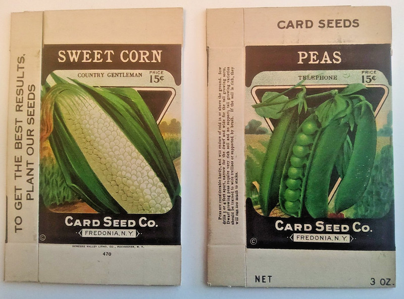 1930s Litho Antique Vintage Seed Packet Sweet Corn And Peas Card Seed Co. Pack gallery