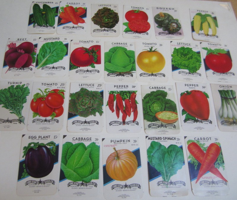 Lot of 25 Old Vintage – VEGETABLE – SEED PACKETS – San Antonio Texas – EMPTY