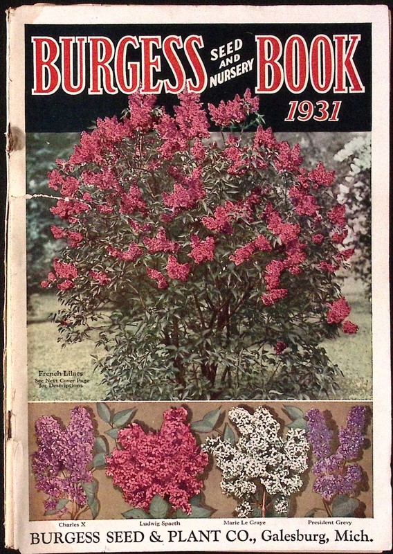 1931 Burgess Seed & Nursery Book Burgess Seed Plant Co Galesburg MI Seed Catalog