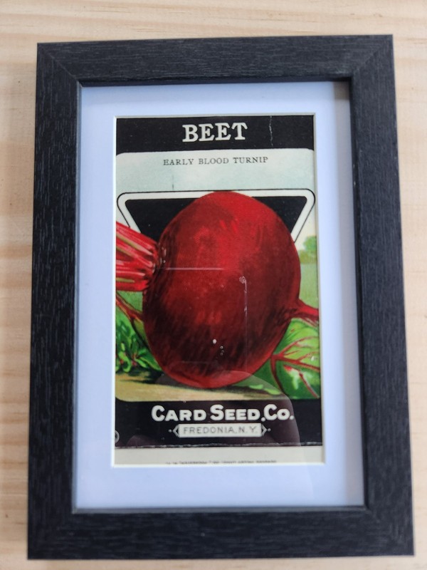 Framed 1920’s-30’s Vintage Seed Packets, Card Seed Co - Fredonia NY gallery
