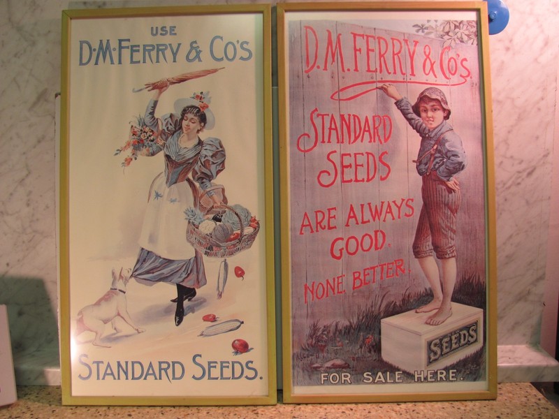 VINTAGE Pair D.M. Ferry & Co’s. Standard Seeds Advertising Posters 1960’s