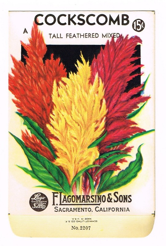 ORIGINAL VINTAGE SEED PACKETS FLOWERS C1930S-1940S SACRAMENTO COCKSCOMB TALL MIX