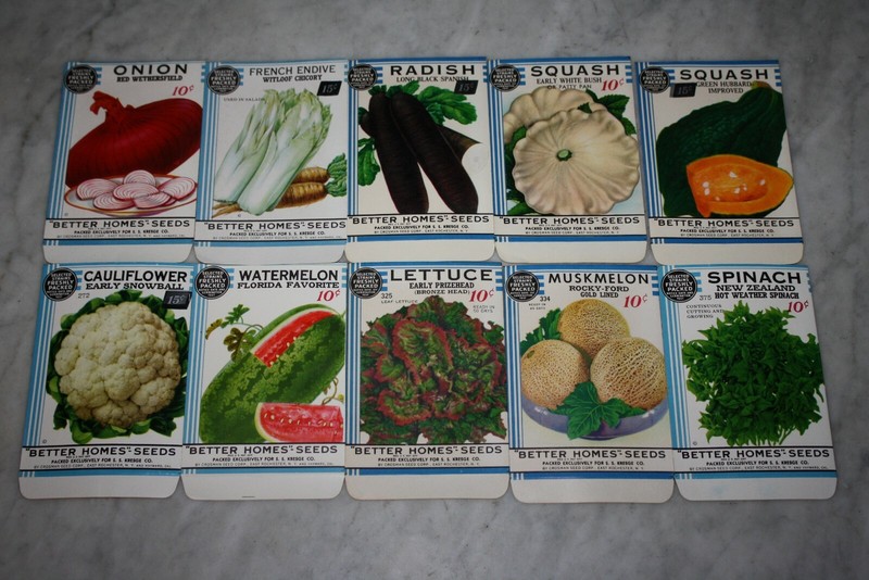 10 Vintage 1934 “Better Homes” Fruit Vegetable Seed Packets Crosman Seed Co. NOS