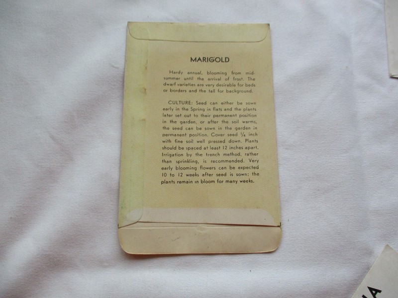 Lot of 10 Antique HUMPHRIES & WEBBER Flower Seed Packet Envelopes New Old Stock gallery
