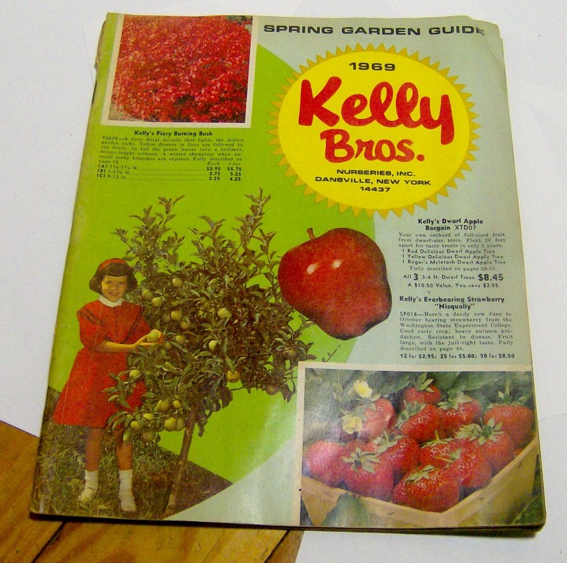 vintage 1969 KELLY Bros SEED catalog 84 COLOR PGS gardening flowers RARE old