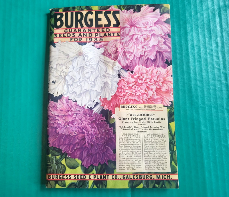 1935 Burgess Seed & Plant Catalog Galesbury Michigan Mail Order Vintage