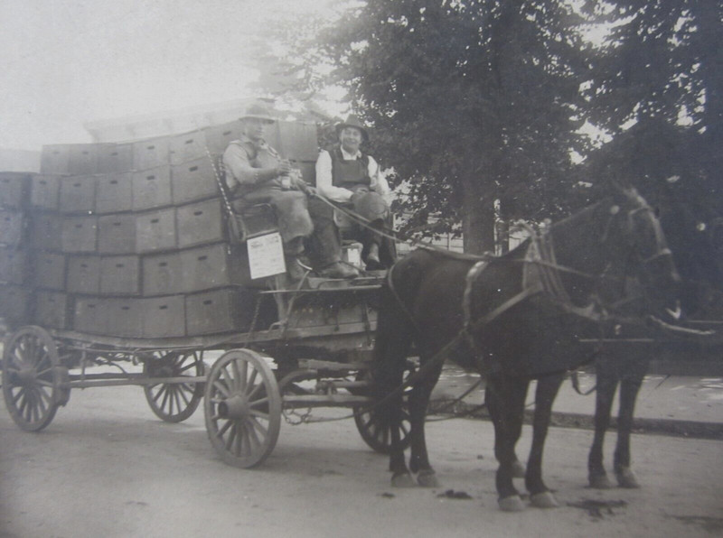 Vintage Horse Farm Wagon Cherry Fruit Boxes Cabinet Photo Andy Galvan 1910-20s
