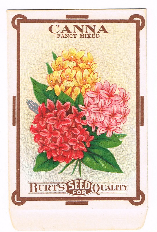 VINTAGE SEED PACKET FLOWERS C1910 GENERAL STORE GARDEN CANNA MIXED FOLK ART D3