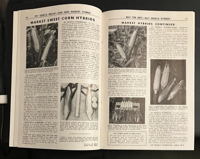 1960 Robson Quality SEED CATALOG Hall NY w/ original mailer and order form 35 Yr gallery