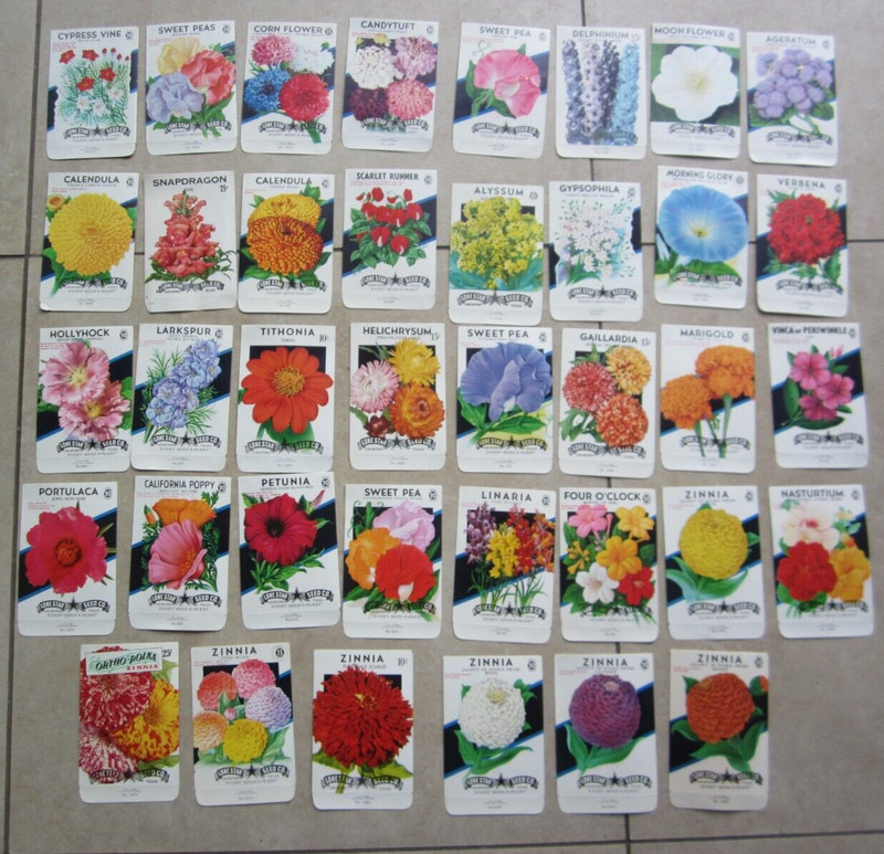 Lot of 38 Old Vintage 1950’s – FLOWER SEED PACKETS – Lone Star – EMPTY