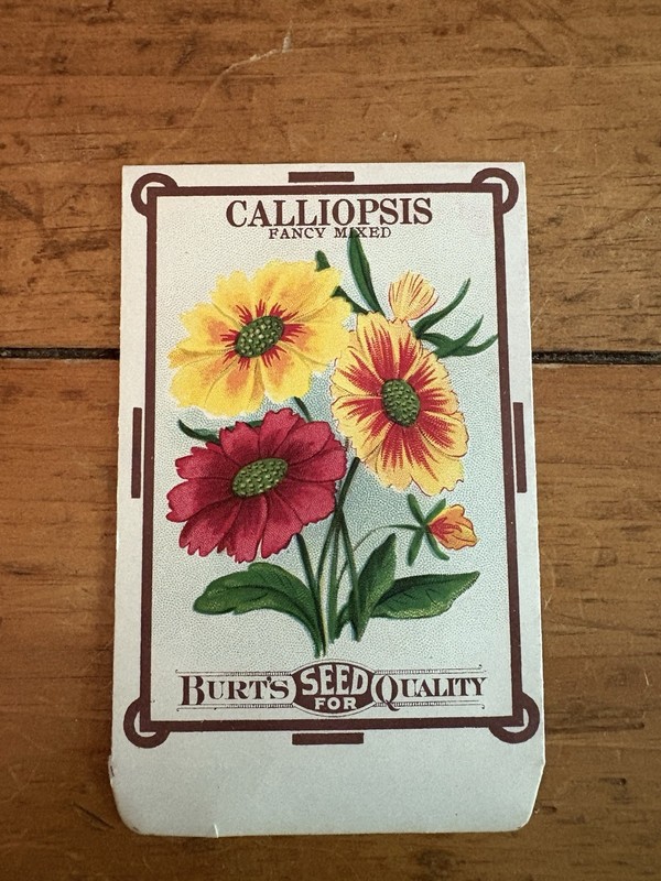 Vintage lithographed scarcer seed packet 1915 Calliopsis Fancy Floral Burts