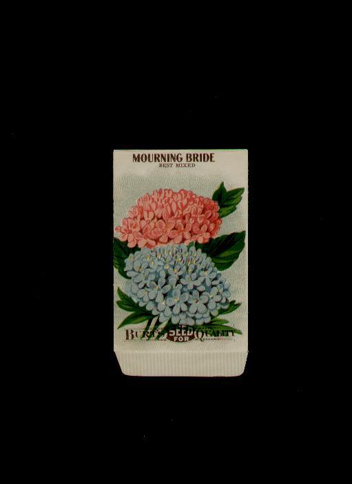 ANTIQUE 1915 MOURNING BRIDE LITHO SEED PACKET / ~L@@K~