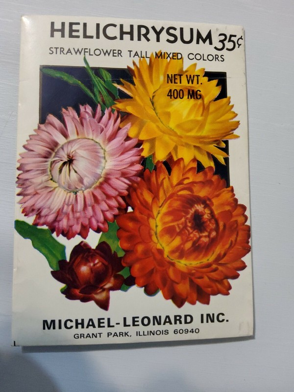 Vintage Seed PACKET For Art Display Strawflower Tall Helichrysum Mixed Colors