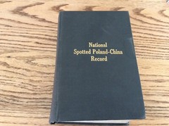 1920 National Spotted Poland-China Record Book #7 Pig Black Swine FAMILY INSIDE?