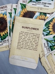 1918 Archias Empty Seed Packets Sunflower Mammoth Russian Sedalia MO