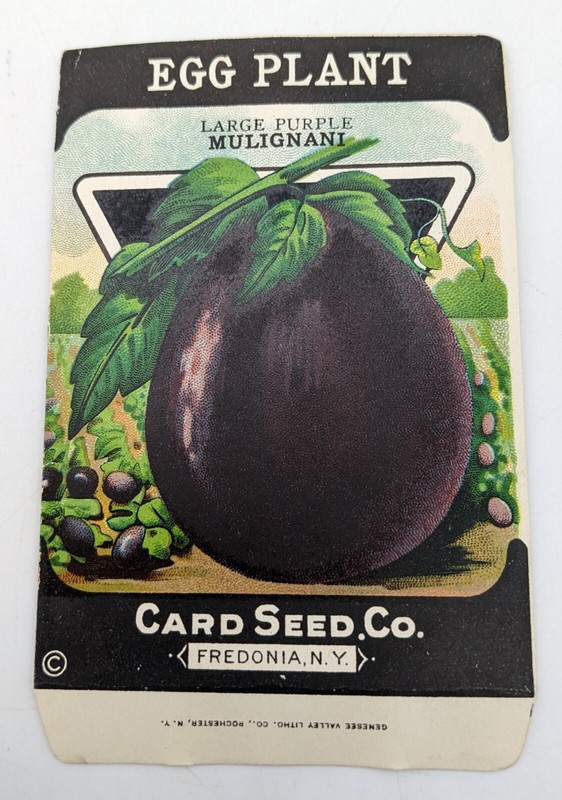 Vtg Egg Plant Seed Packet – Card Seed Co Fredonia NY Large Purple Mulignani NOS