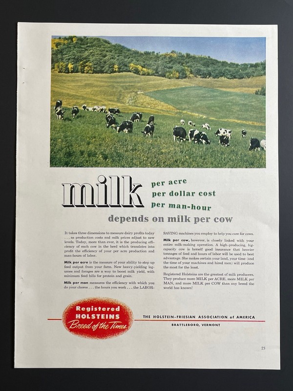 1950s “Milk” Registered Holsteins – Original Print Advertisement (9.5in x 13in)
