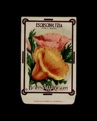 1910’s BURT’S ESCHSCHOLTZIA – POPPY – SEED PACKET ~L@@K
