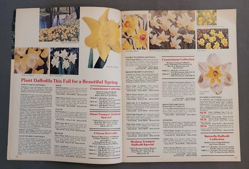 1976 Burpee's Fall Gardening Catalog - Full Color gallery