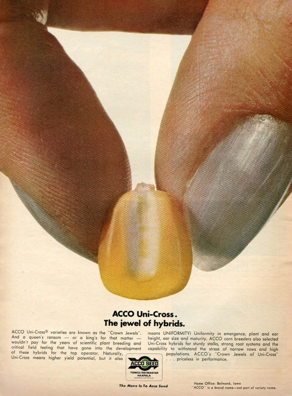 1969 Print Ad of Acco Seed Uni Cross Hybrid Corn crown jewels