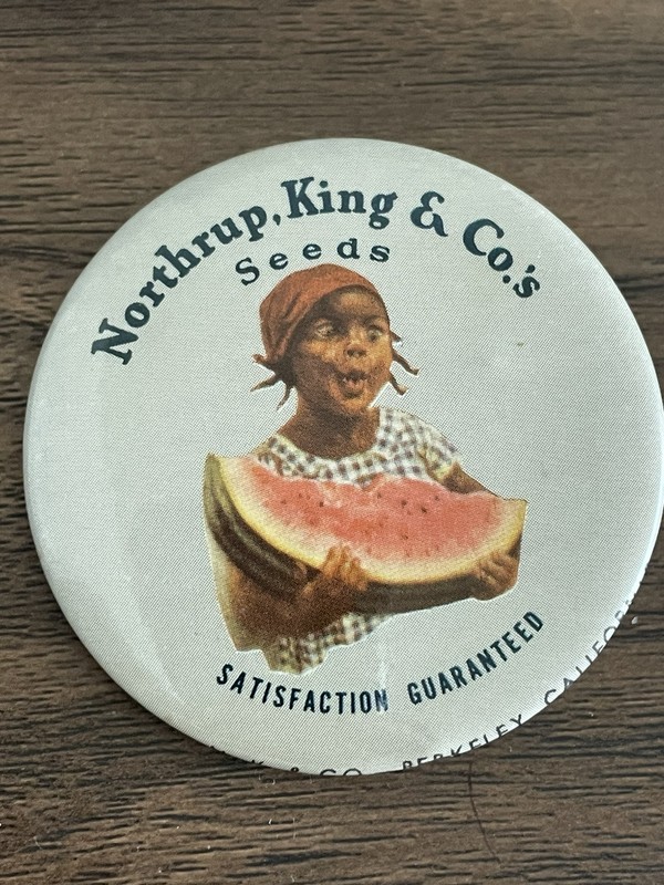 Vintage Northrup, King & Co.’s Seeds Button