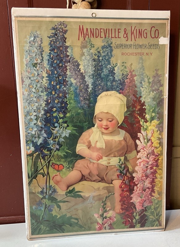 ORIGINAL Antique 1890s-1900s MANDEVILLE & KING SUPERIOR FLOWER SEEDS NY POSTER