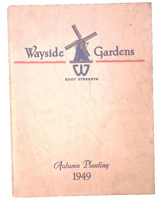 1949 Wayside Gardens Root Strength Autumn Planting Illustrated Seed Catalog