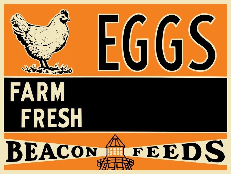 Beacon Feeds Farm Fresh Eggs NEW METAL SIGN: 9 x 12″ and Free Shipping