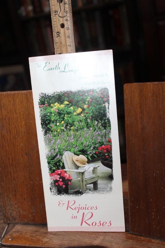 Vintage Gardening Brochure 1998 AARS All American Rose Selections Winners