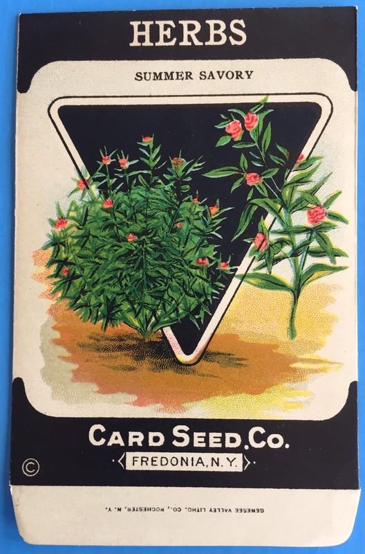 *Original* HERBS Summer Savory CARD SEED Packet Pack 1920’s Fredonia N.Y.