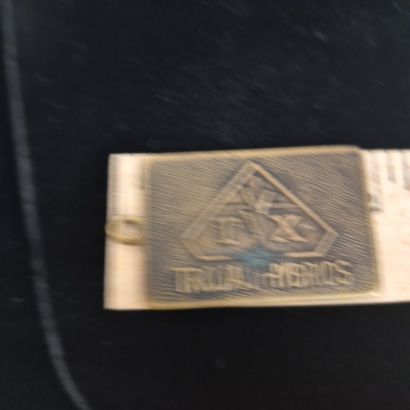 Vintage TX Trojan Hybrids Keychain Fob - Lloyd Anderson No Key Ring gallery