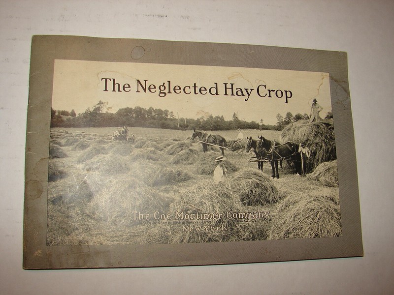The Neglected Hay Crop by Myron S Hazen Coe-Mortimer Co., N Y 1916 Booklet