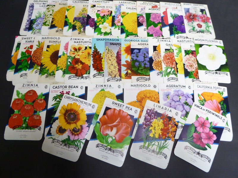 40 DIFF VINTAGE SEED PACKET LOT 1930s-1970 FLOWERS GARDEN TEXAS GENERAL STORE A3