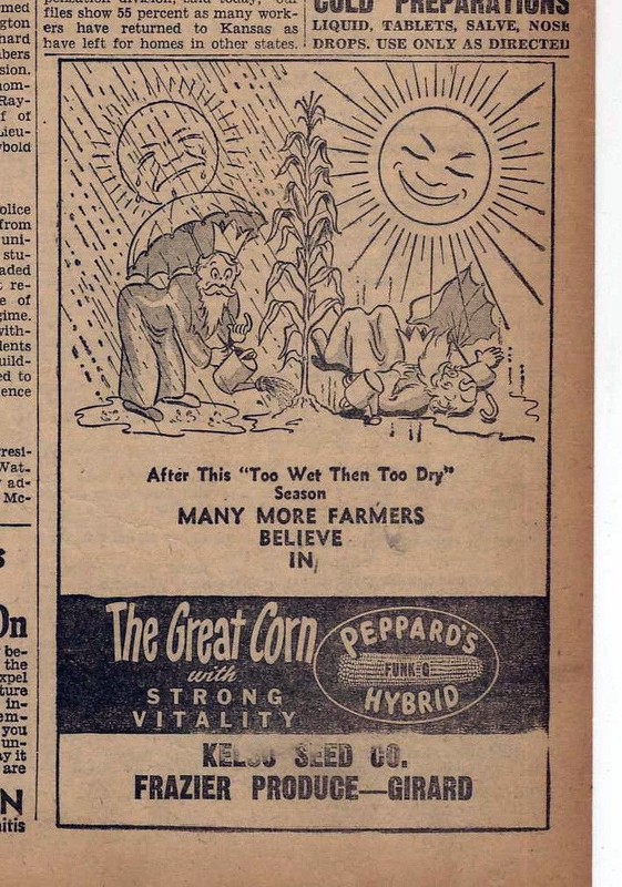 Vintage 1945 newspaper ad for Peppard’s Hybrid Corn – The Great Corn, cartoon