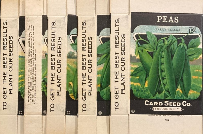 1920’s Lot of 5 “Unused” Card Seed Company Boxes – Fredonia, NY. “NOS”