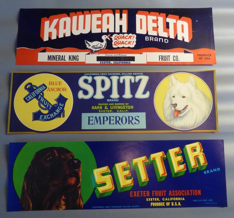 17 VINTAGE NEW OLD STOCK FRUIT & PRODUCE WOOD CRATE PAPER LABELS VERY COLORFUL gallery